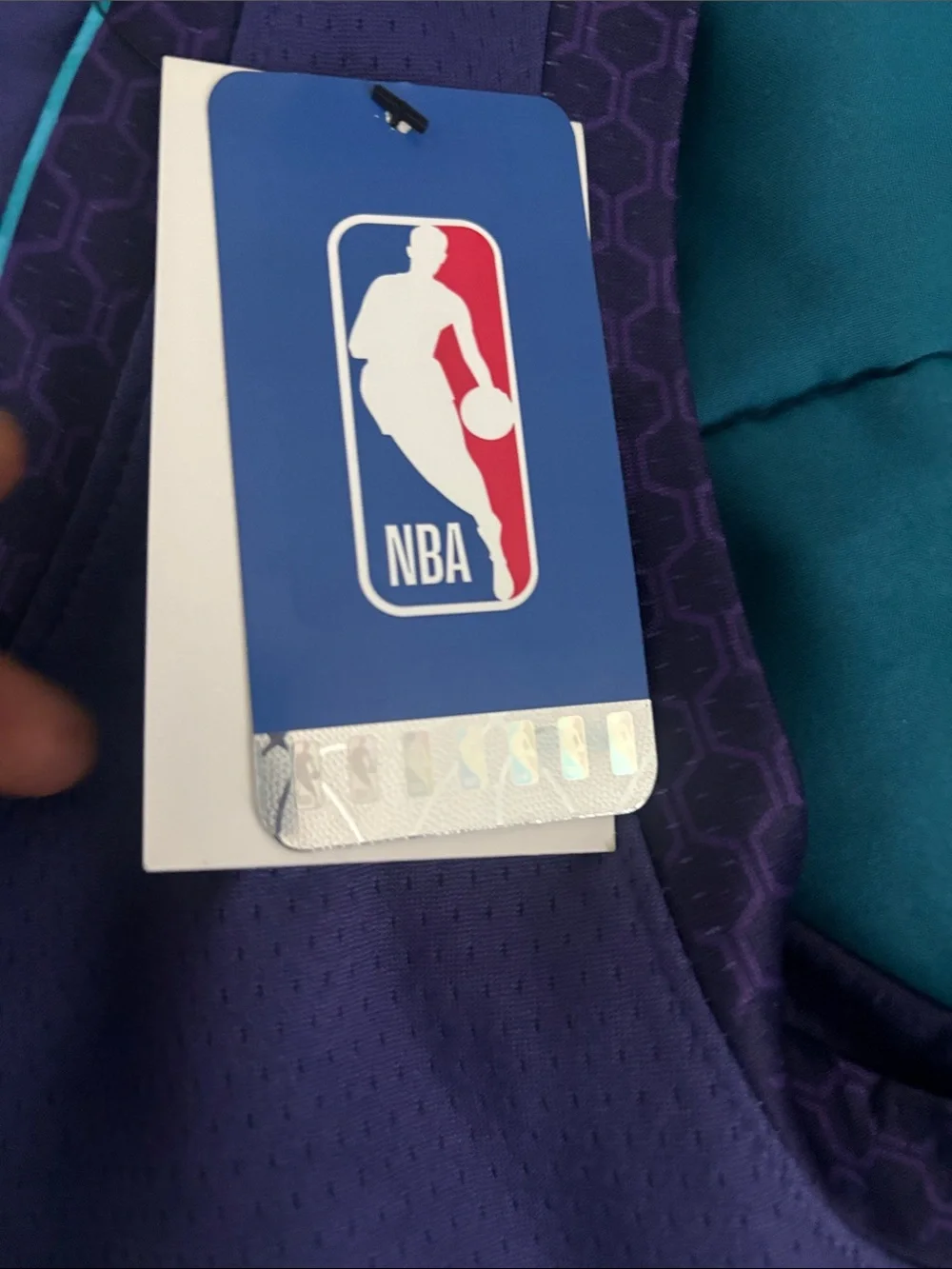 NBA Purple Jersey with Teal Trim